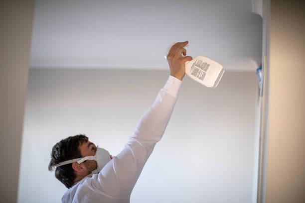 Best Mold Damage Repair  in Libby, MT